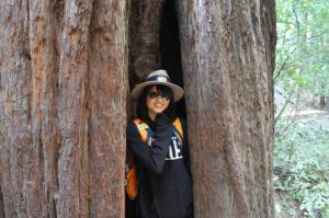 22609883670_0f60839840_k